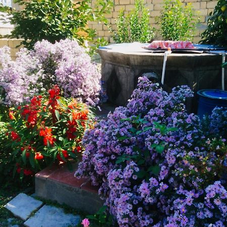 House On Ashiq Cuma Street 8 Bed & Breakfast Şǝki Eksteriør bilde