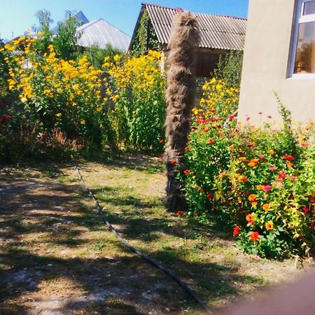 House On Ashiq Cuma Street 8 Bed & Breakfast Şǝki Eksteriør bilde