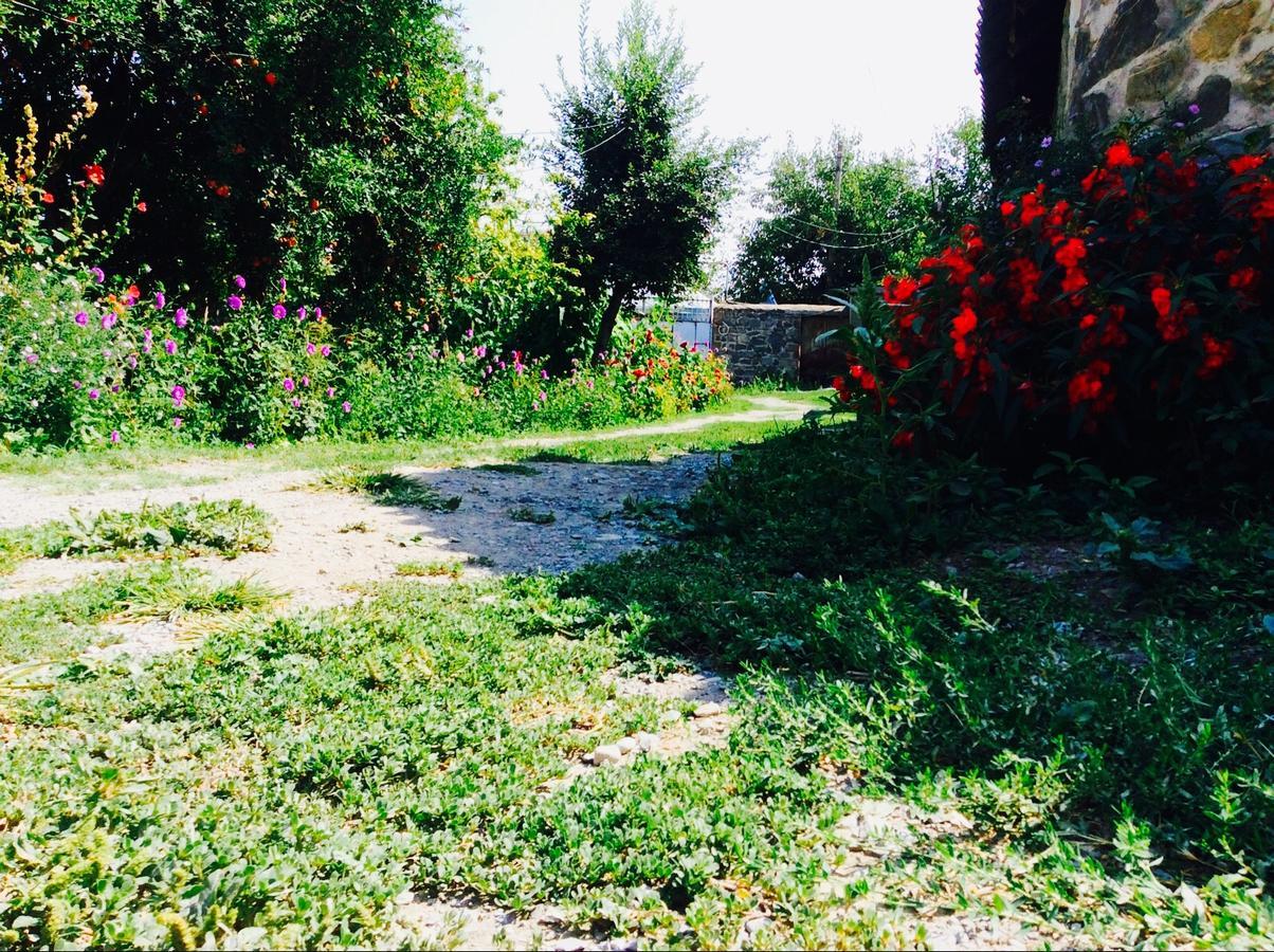 House On Ashiq Cuma Street 8 Bed & Breakfast Şǝki Eksteriør bilde