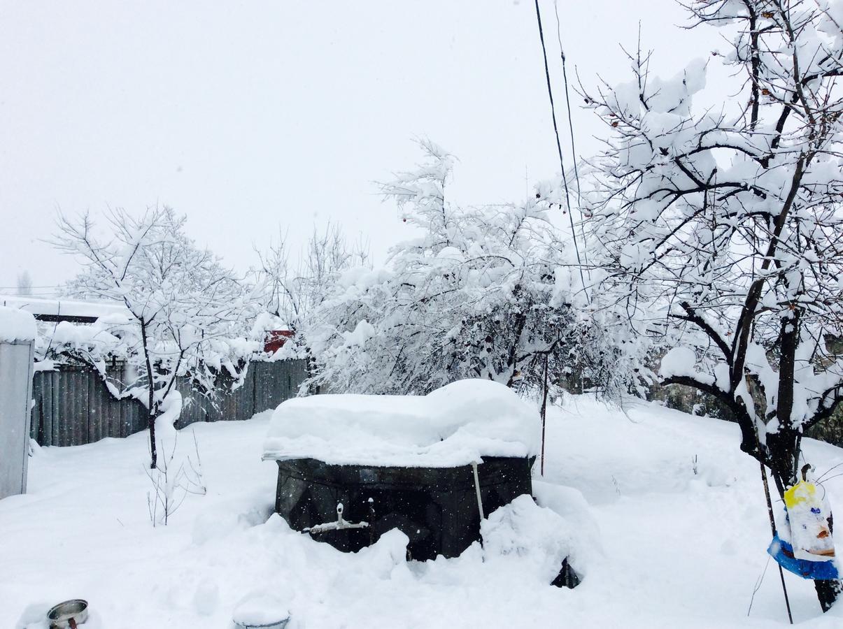 House On Ashiq Cuma Street 8 Bed & Breakfast Şǝki Eksteriør bilde