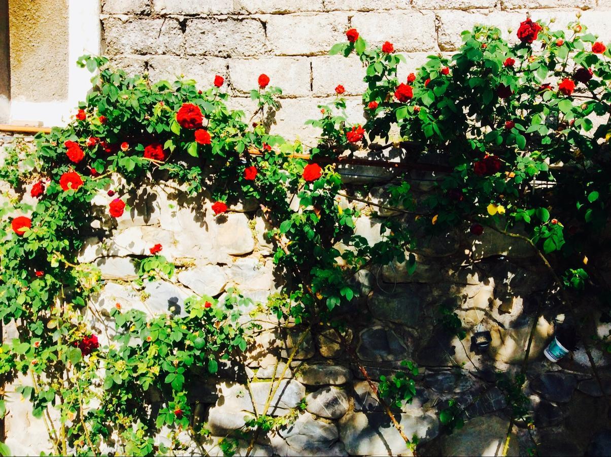 House On Ashiq Cuma Street 8 Bed & Breakfast Şǝki Eksteriør bilde