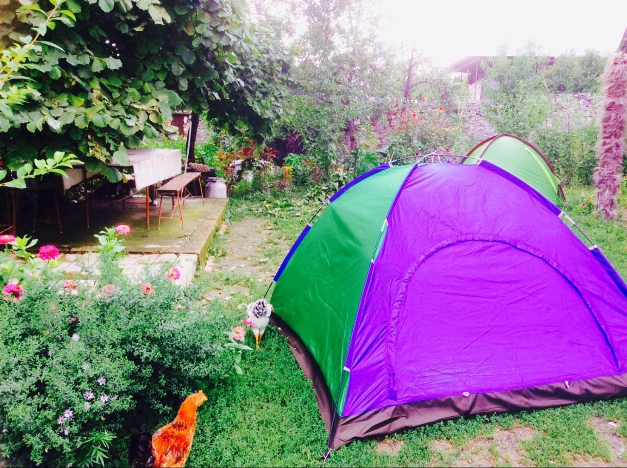 House On Ashiq Cuma Street 8 Bed & Breakfast Şǝki Eksteriør bilde