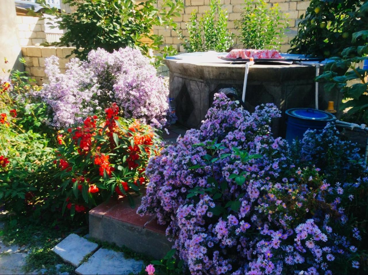 House On Ashiq Cuma Street 8 Bed & Breakfast Şǝki Eksteriør bilde