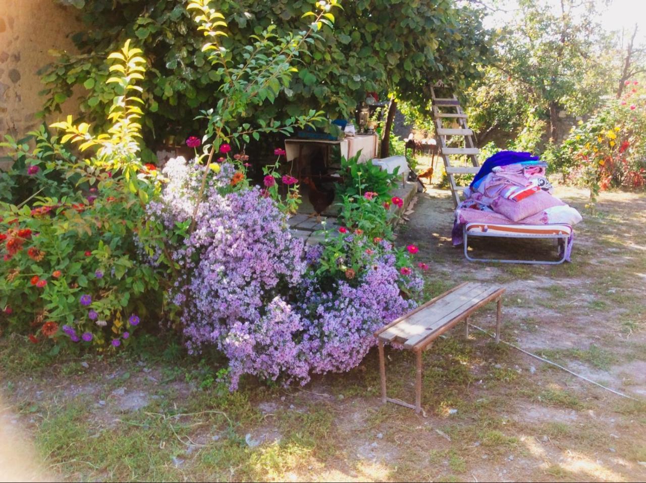 House On Ashiq Cuma Street 8 Bed & Breakfast Şǝki Eksteriør bilde