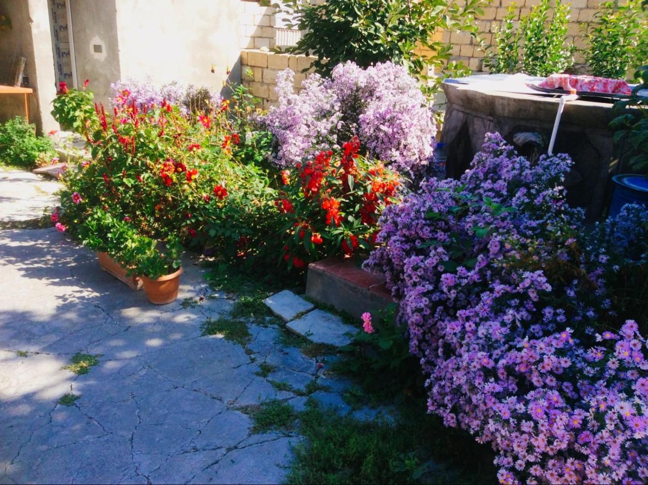 House On Ashiq Cuma Street 8 Bed & Breakfast Şǝki Eksteriør bilde
